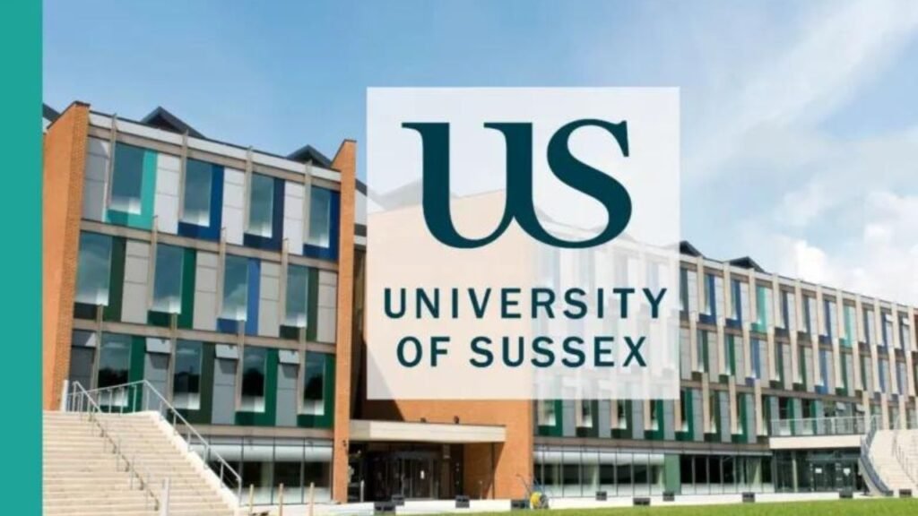 Sussex University Chancellor’s International Scholarship